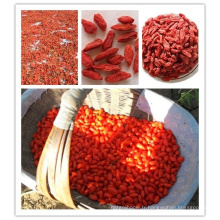 acheter des baies de goji 180 grains par 50g